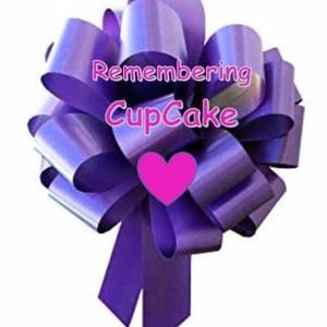 Meet your Posher, Tessa